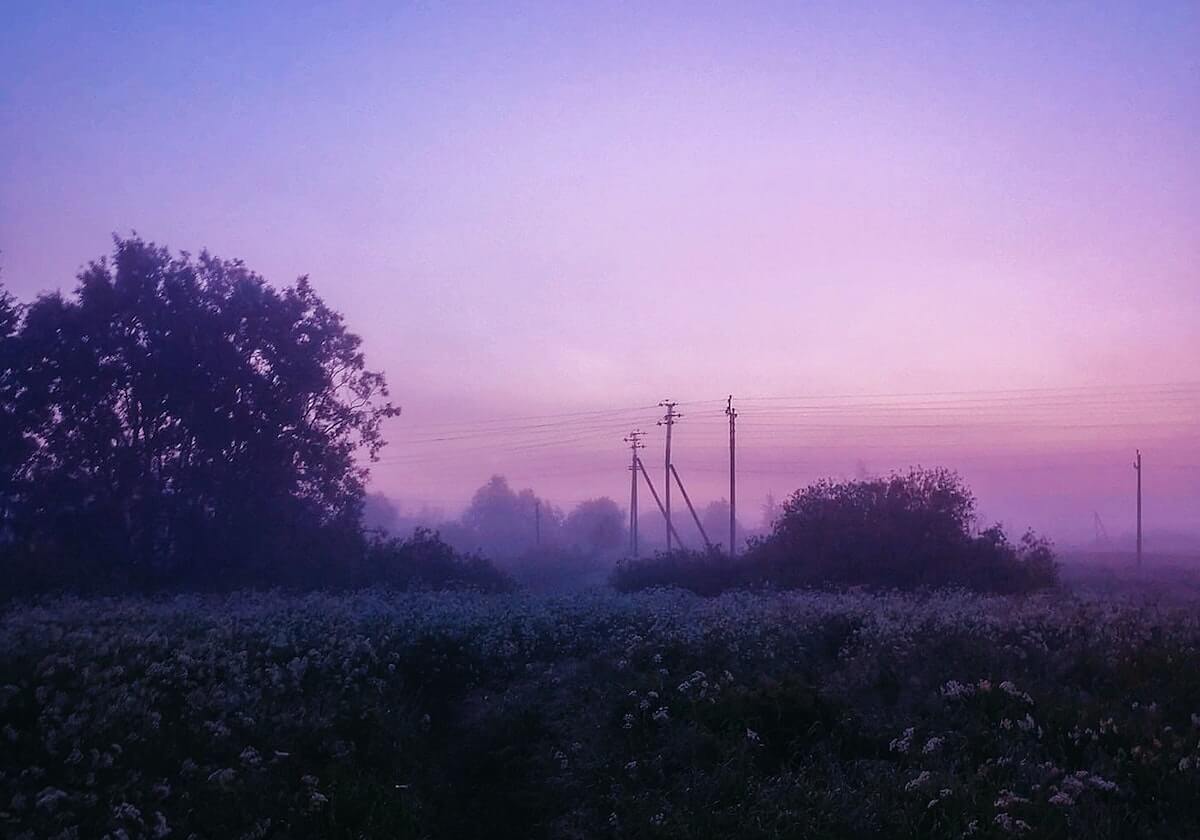 熊猫VPN，网络自由的双刃剑—安全与风险并存的技术选择