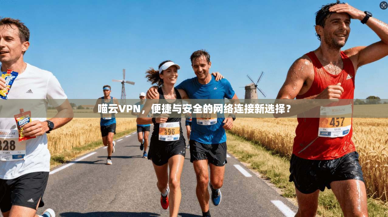 喵云VPN,便捷与安全的网络连接新选择?