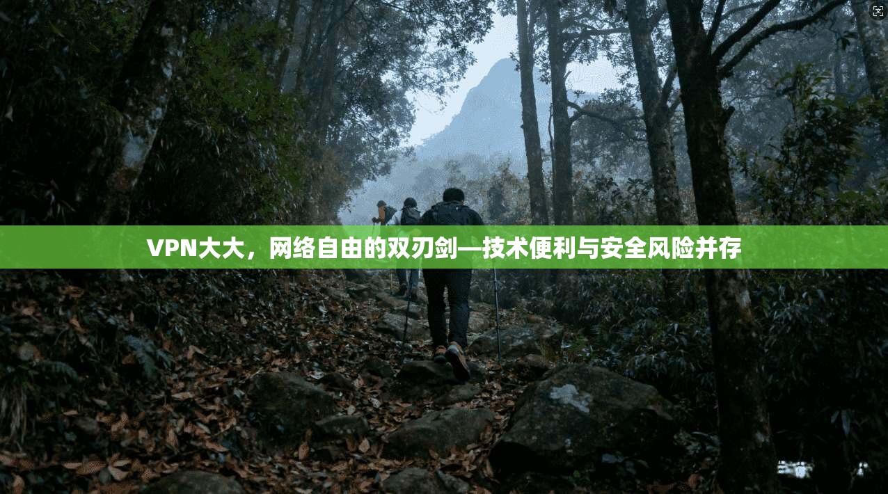 VPN大大,网络自由的双刃剑—技术便利与安全风险并存