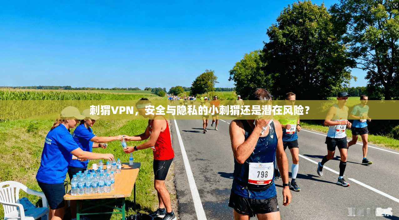 刺猬VPN,安全与隐私的小刺猬还是潜在风险?