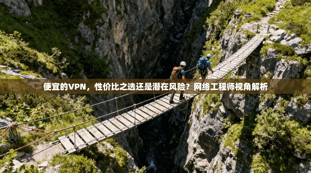 便宜的VPN，性价比之选还是潜在风险？网络工程师视角解析