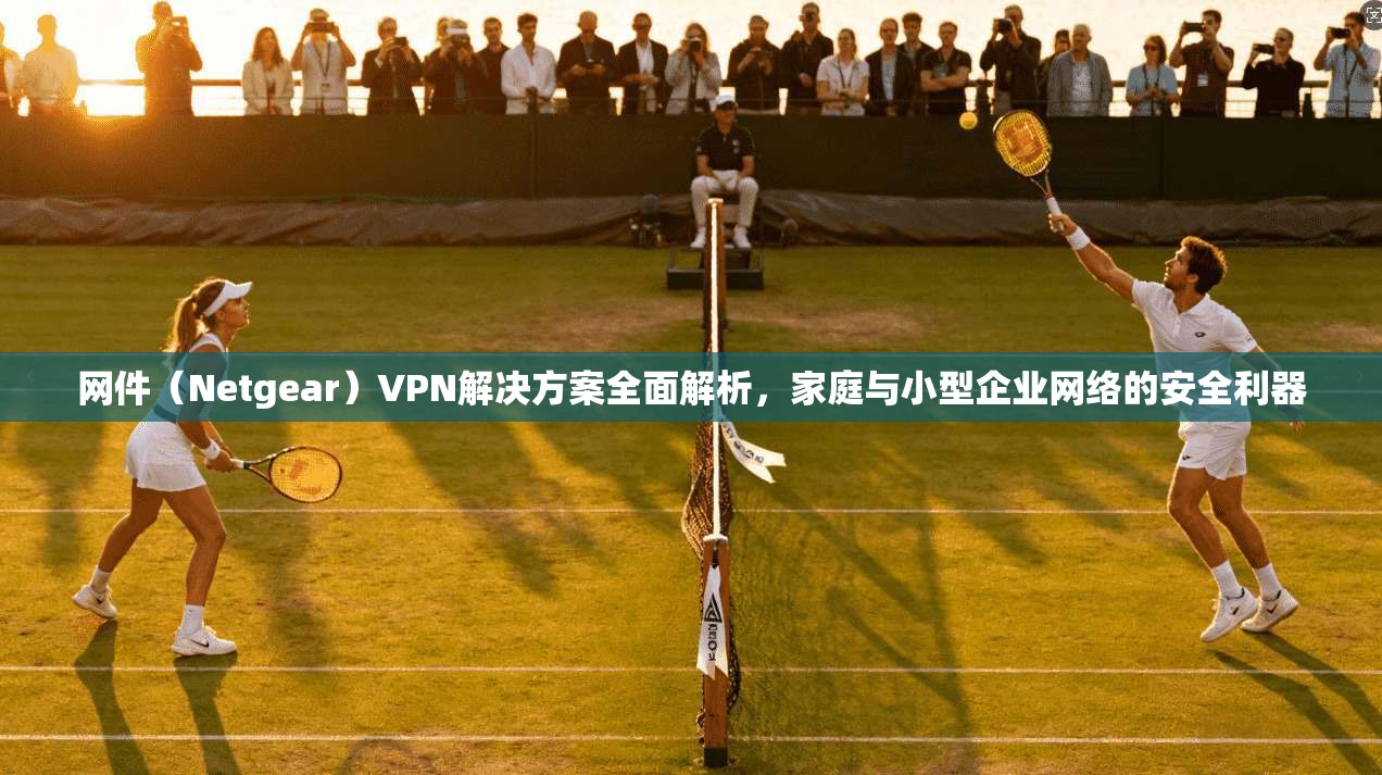 网件（Netgear）VPN解决方案全面解析，家庭与小型企业网络的安全利器