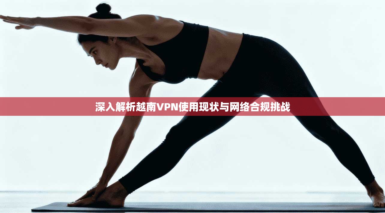 深入解析越南VPN使用现状与网络合规挑战