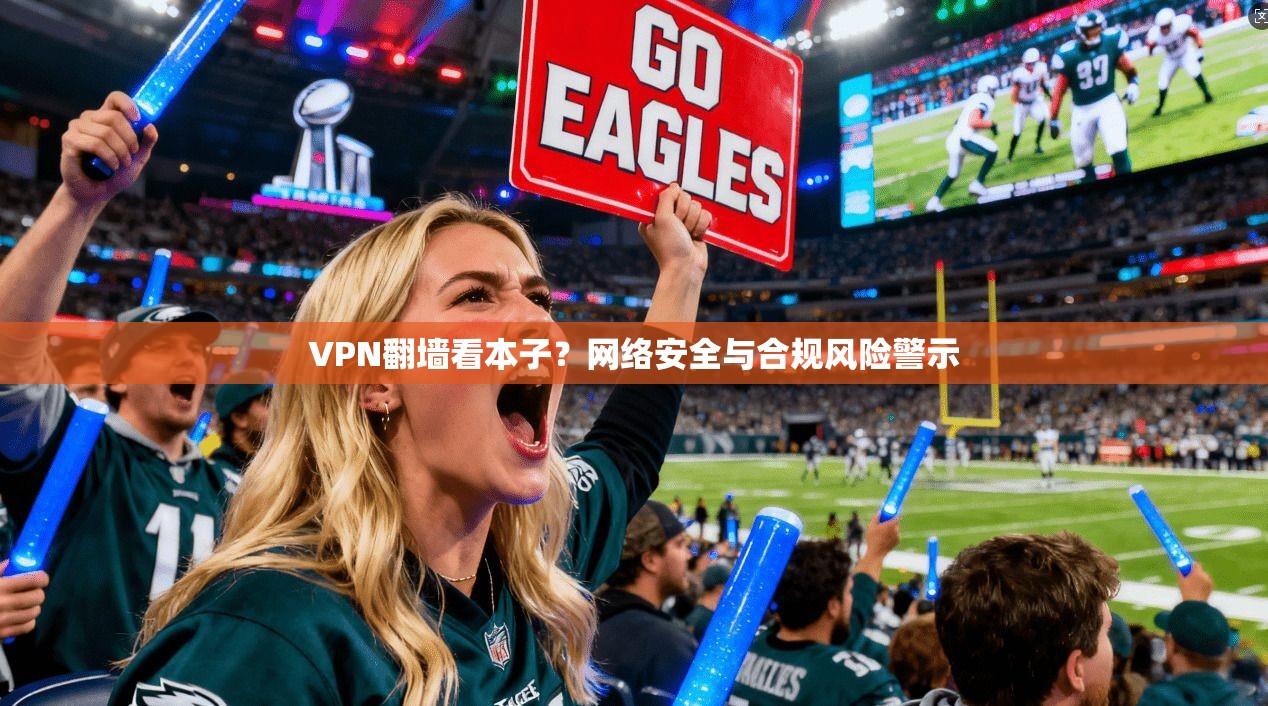 VPN翻墙看本子?网络安全与合规风险警示 VPN翻墙看本子?网络安全与合规风险警示