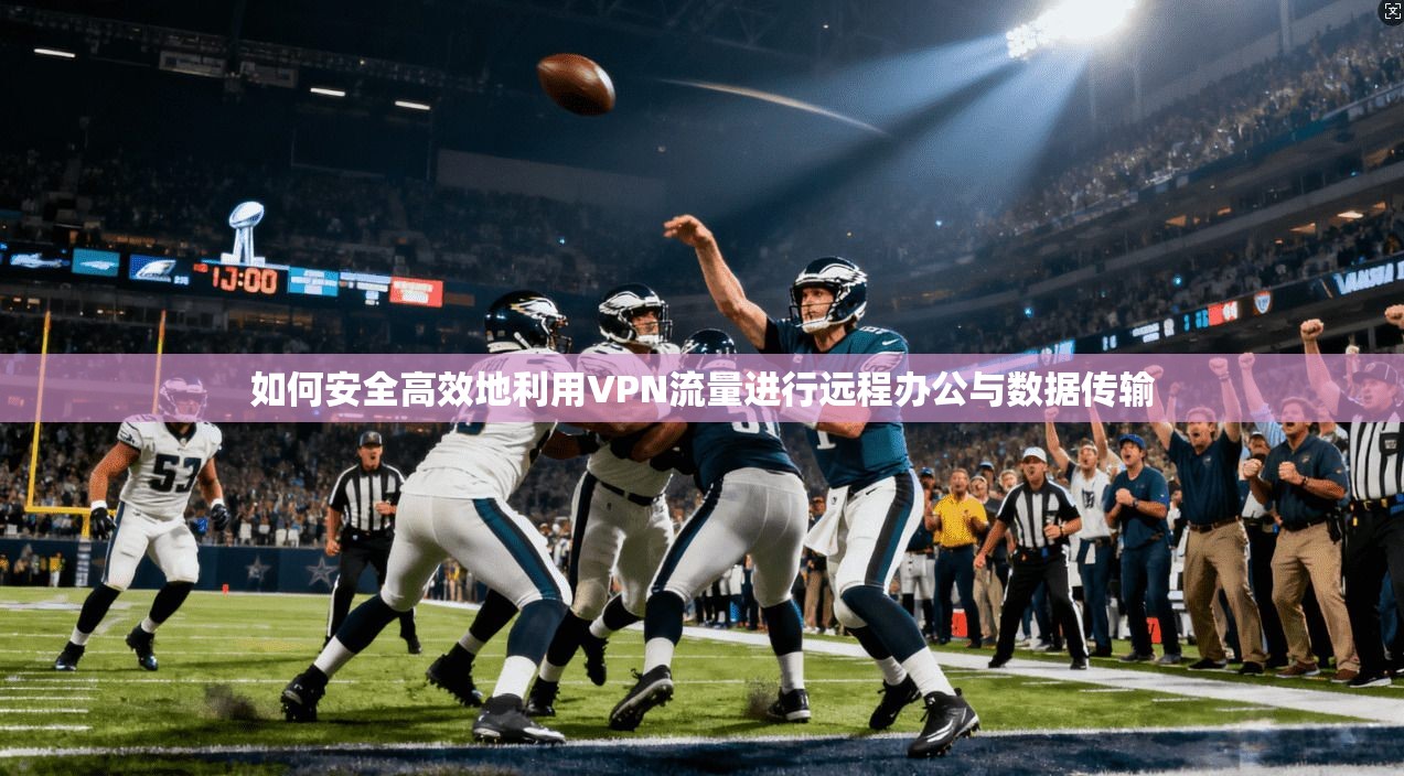 如何安全高效地利用VPN流量进行远程办公与数据传输