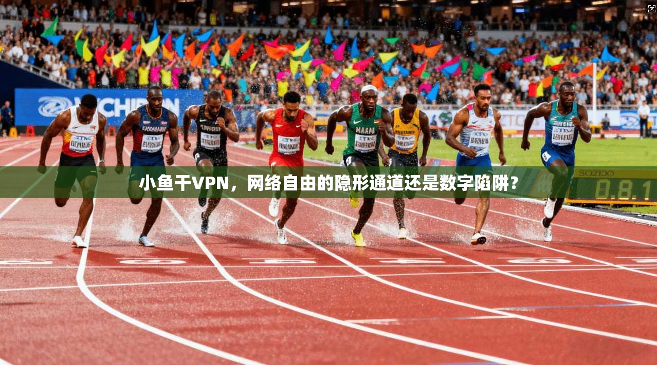 小鱼干VPN,网络自由的隐形通道还是数字陷阱?