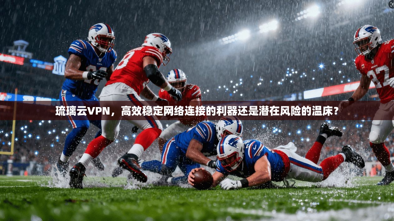 琉璃云VPN，高效稳定网络连接的利器还是潜在风险的温床？