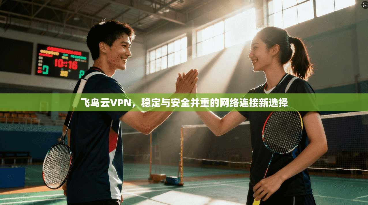 飞鸟云VPN，稳定与安全并重的网络连接新选择