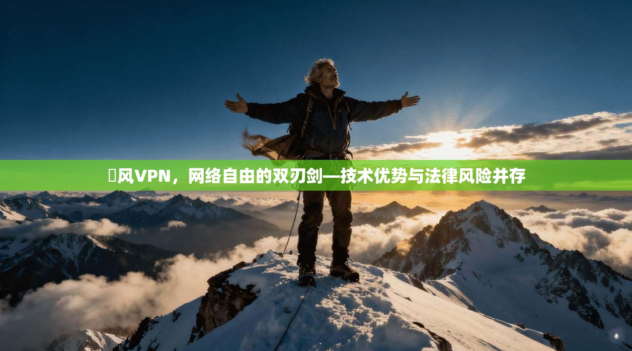 賽风VPN，网络自由的双刃剑—技术优势与法律风险并存