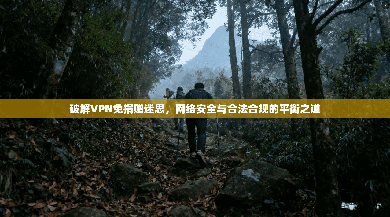 破解VPN免捐赠迷思，网络安全与合法合规的平衡之道