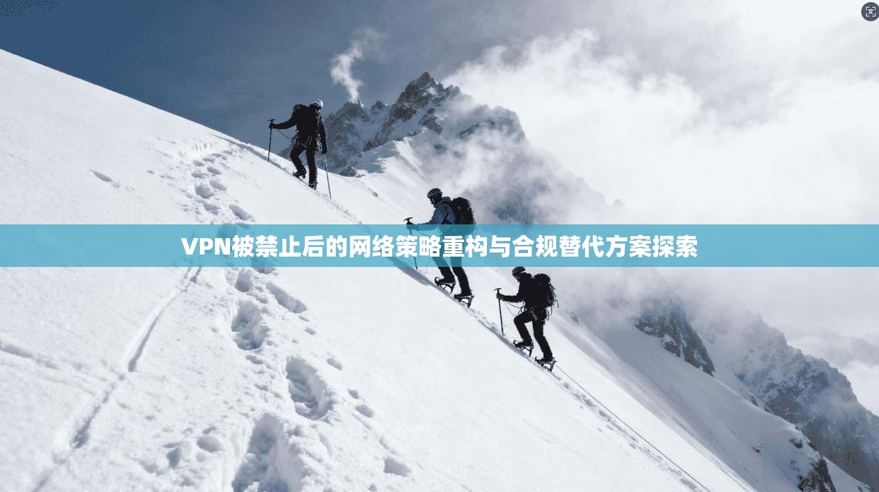VPN被禁止后的网络策略重构与合规替代方案探索