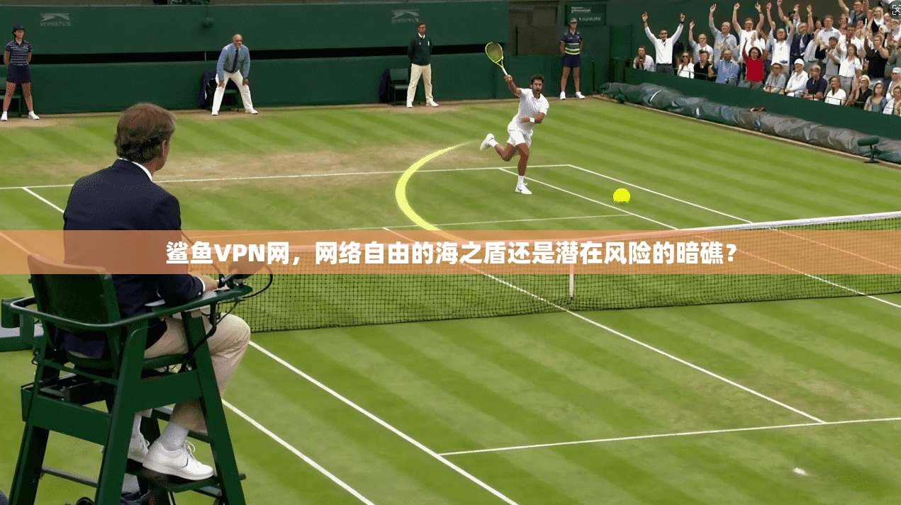 鲨鱼VPN网，网络自由的海之盾还是潜在风险的暗礁？