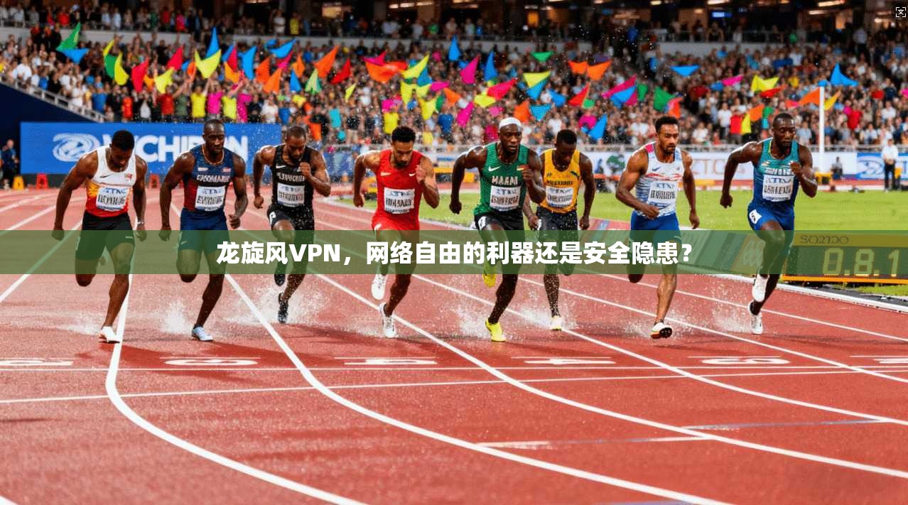 龙旋风VPN,网络自由的利器还是安全隐患?