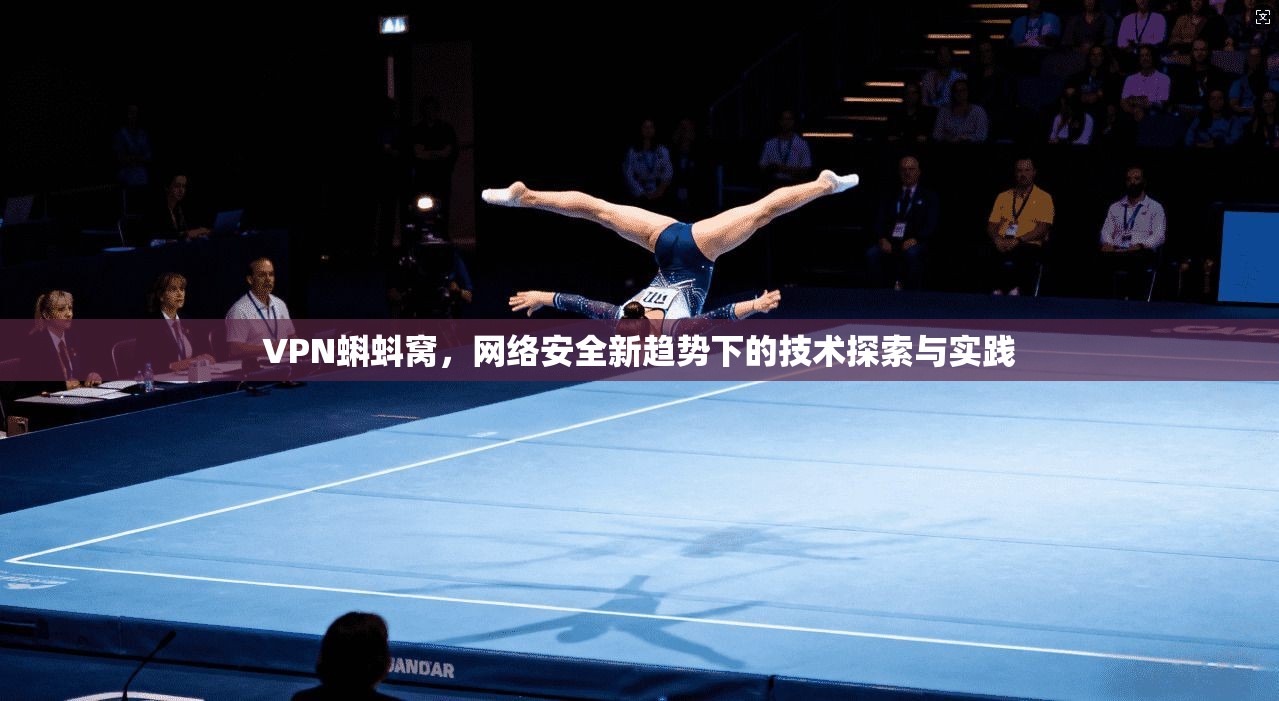 VPN蝌蚪窝，网络安全新趋势下的技术探索与实践