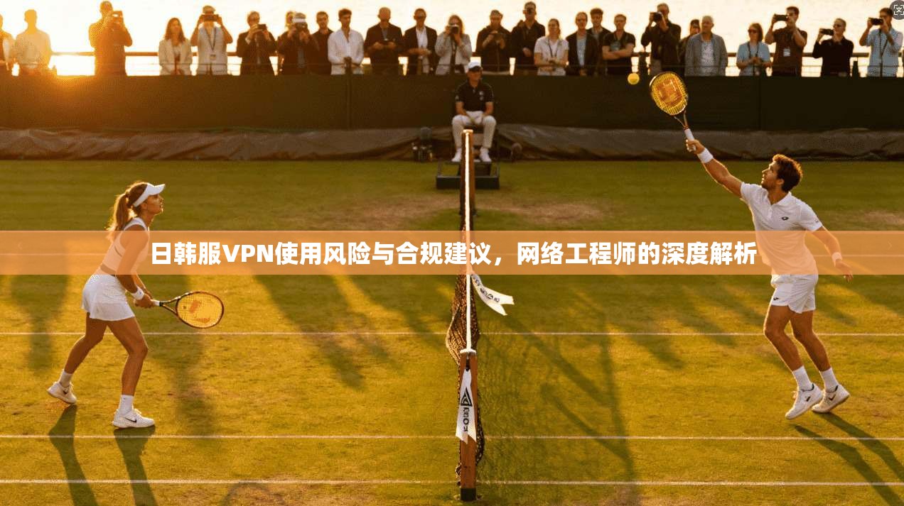 日韩服VPN使用风险与合规建议，网络工程师的深度解析