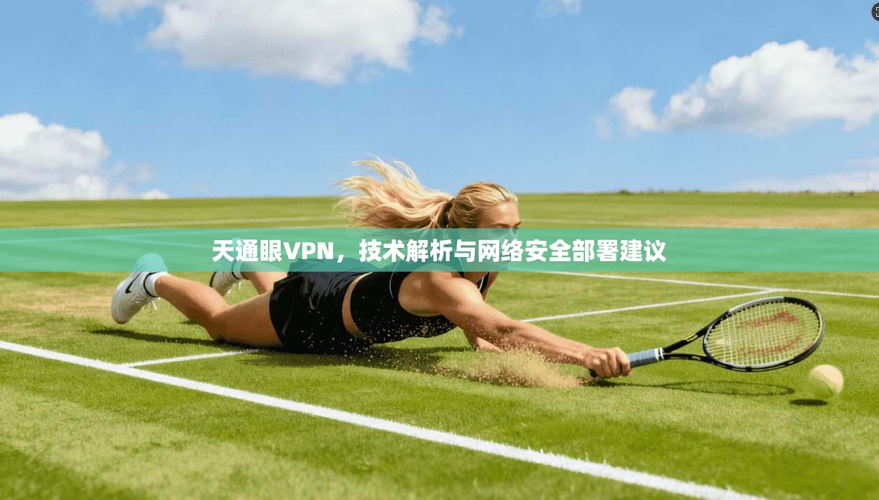 天通眼VPN,技术解析与网络安全部署建议