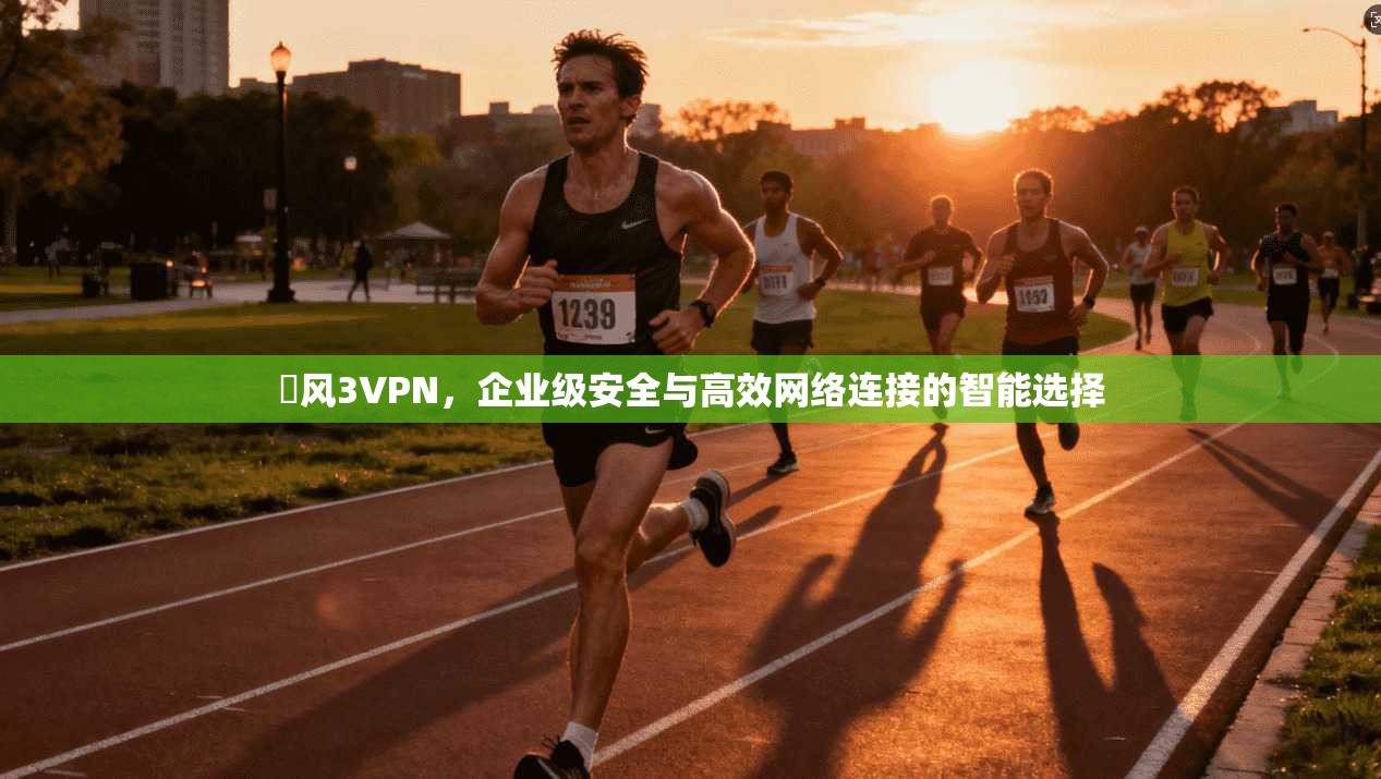 賽风3VPN，企业级安全与高效网络连接的智能选择