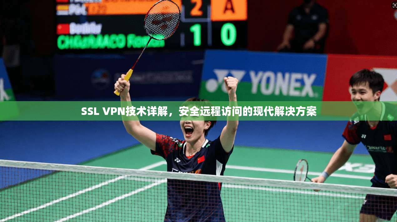 SSL VPN技术详解,安全远程访问的现代解决方案