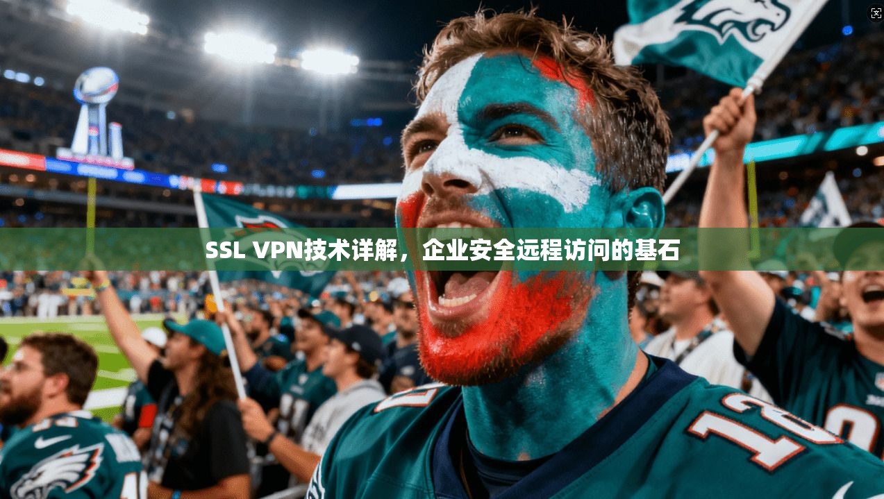 SSL VPN技术详解,企业安全远程访问的基石