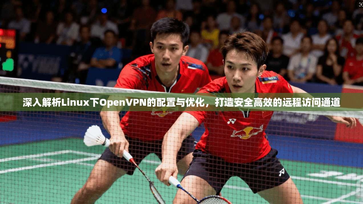深入解析Linux下OpenVPN的配置与优化，打造安全高效的远程访问通道